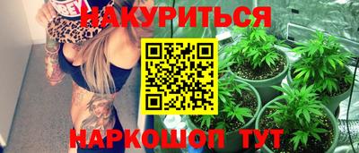 тгк Новозыбков