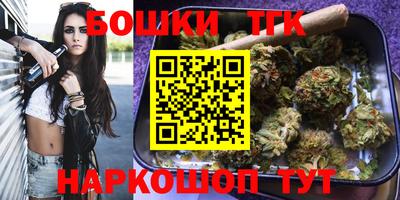 тгк Новозыбков