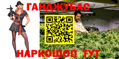 тгк Новозыбков