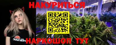 тгк Новозыбков