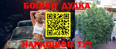 тгк Новозыбков