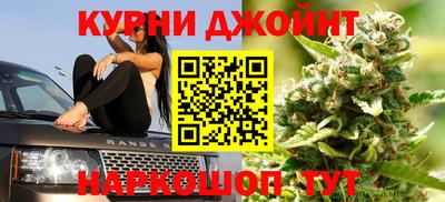 тгк Новозыбков