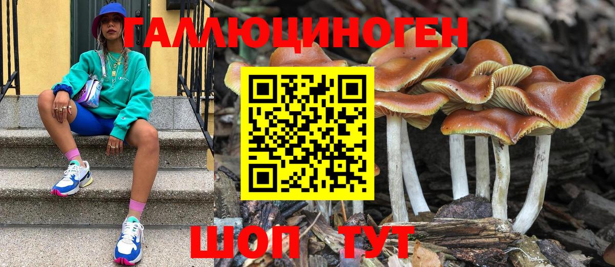 Пыть-Ях  Псилоцибиновые грибы Magic Shrooms  Псилоцибиновые грибы Magic Shrooms  Вход с VPN 