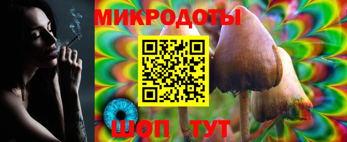 Псилоцибиновые грибы Psilocybine cubensis Пыть-Ях